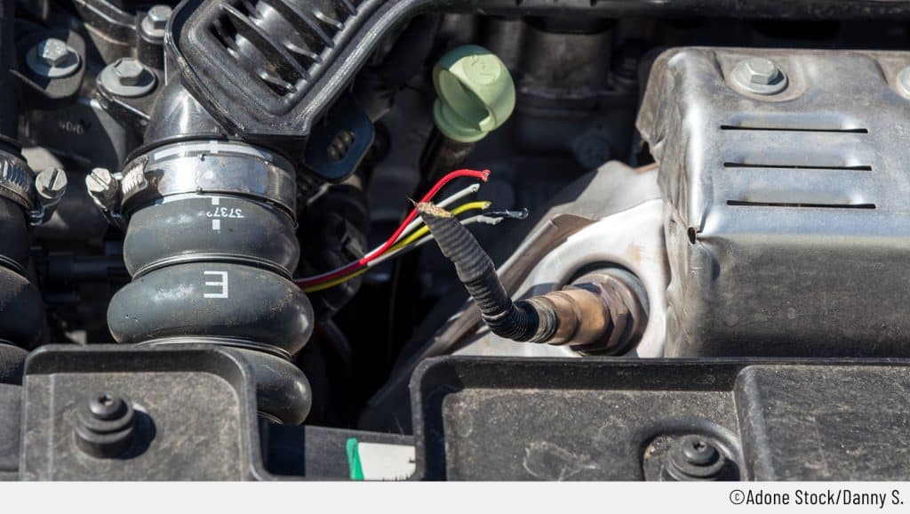 Auf dem Bild ist der Motorraum eines Autos zu sehen. Die Kabel der Lambdasonde wurden von einem Marder durchbissen, was zu einem Defekt führt.