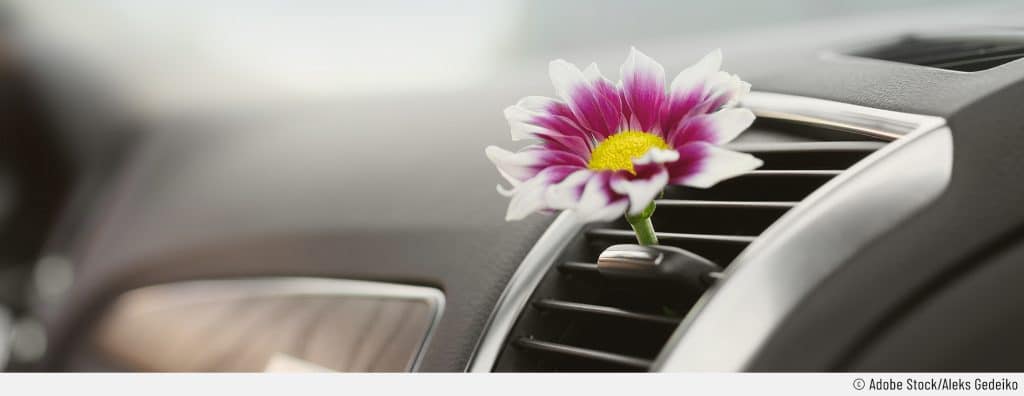 Auf dem Bild sieht man ein Gänseblümchen, das in dem Lüftungsschacht der Klimaanlage eines Autos steckt. Es soll symbolisieren, dass das Klimaanlagen-Desinfizieren für einen angenehmen Geruch im Auto sorgt.