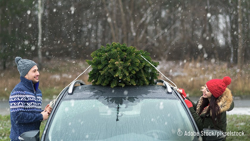 weihnachtsbaum_auf_autodach_transportieren